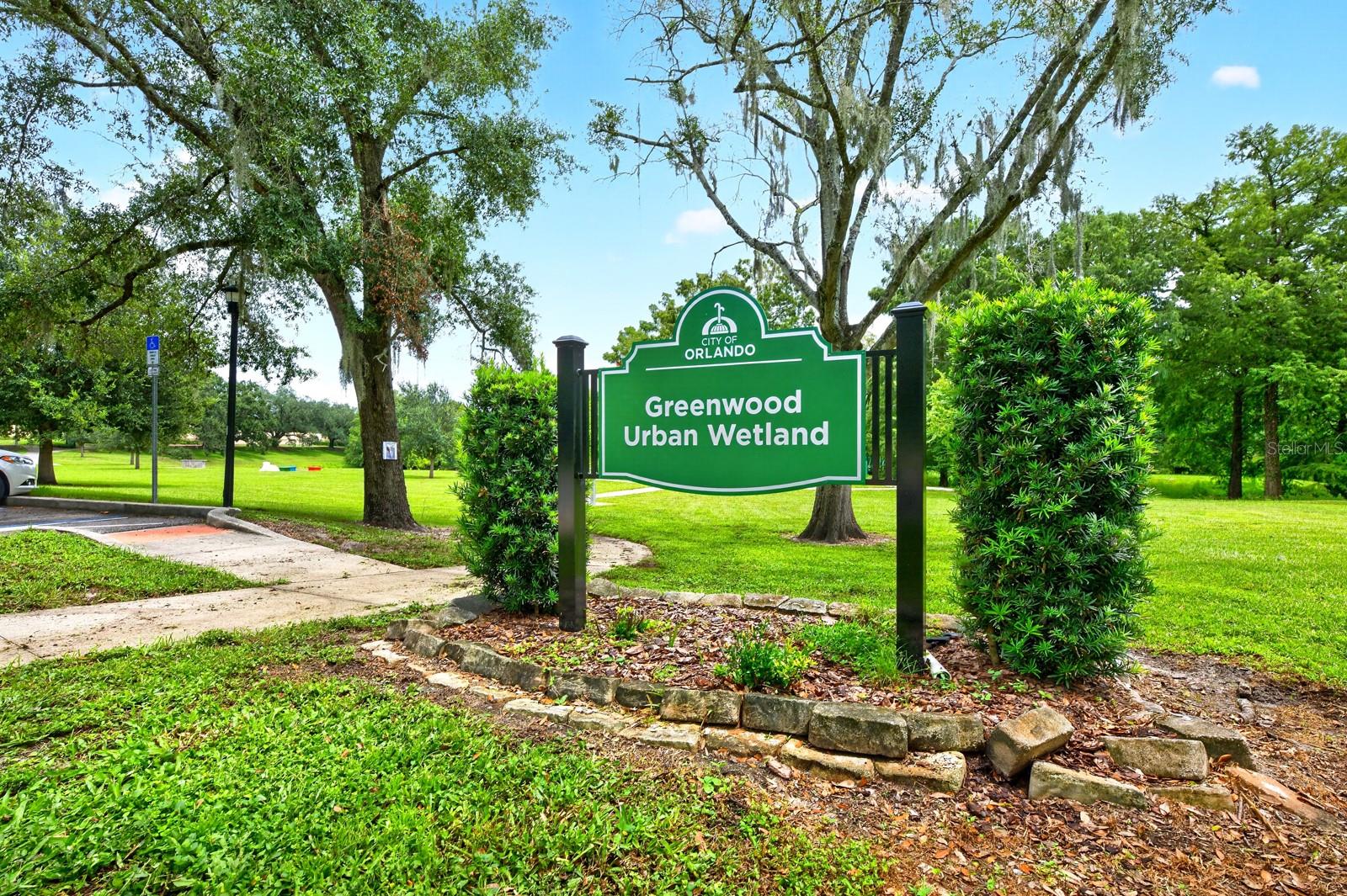 Explore Greenwood Urban Wetland.