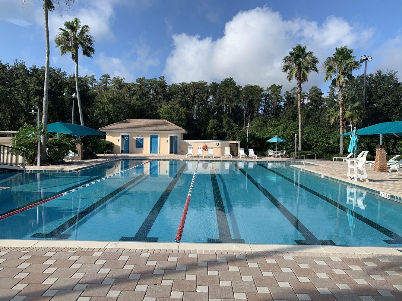 LAP POOL