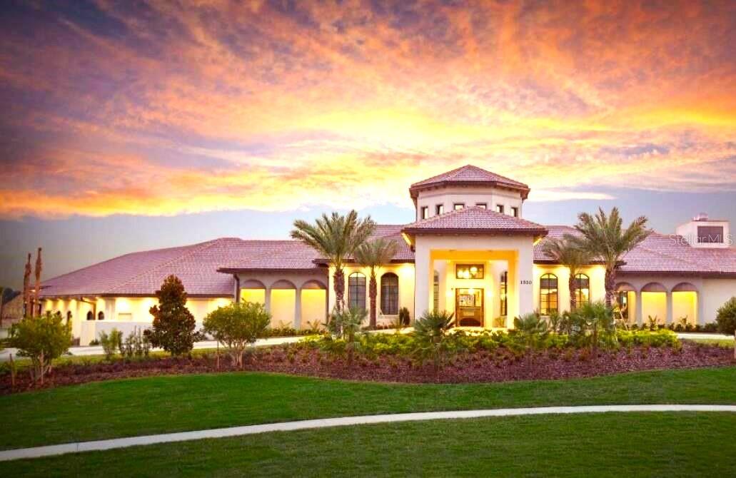 Gorgeous Oasis