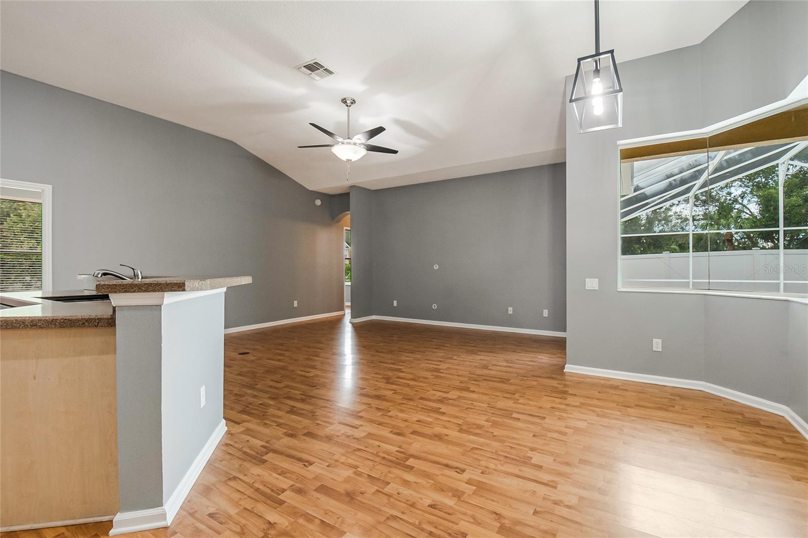 Family Room and Kitchen Combo