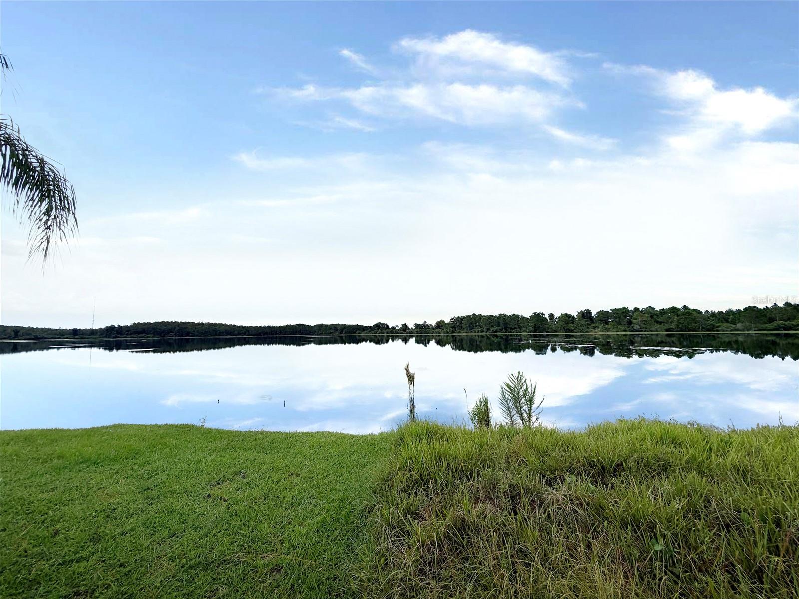 Picturesque Pond View Picturesque Pond View