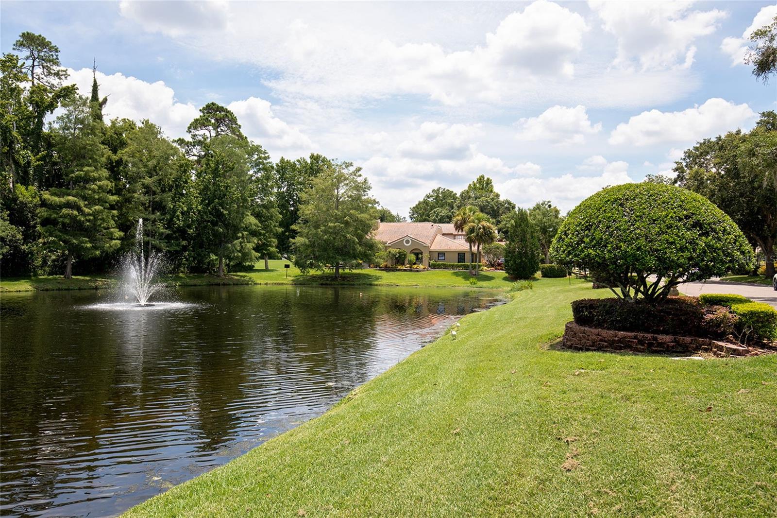Community Pond