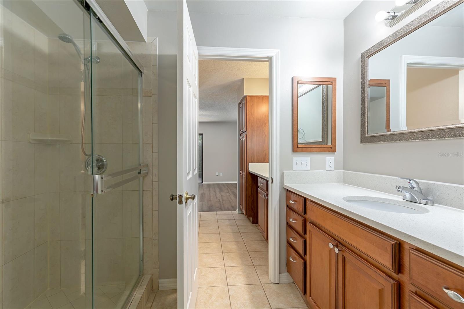 Primary Suite - Bathroom (downstairs)
