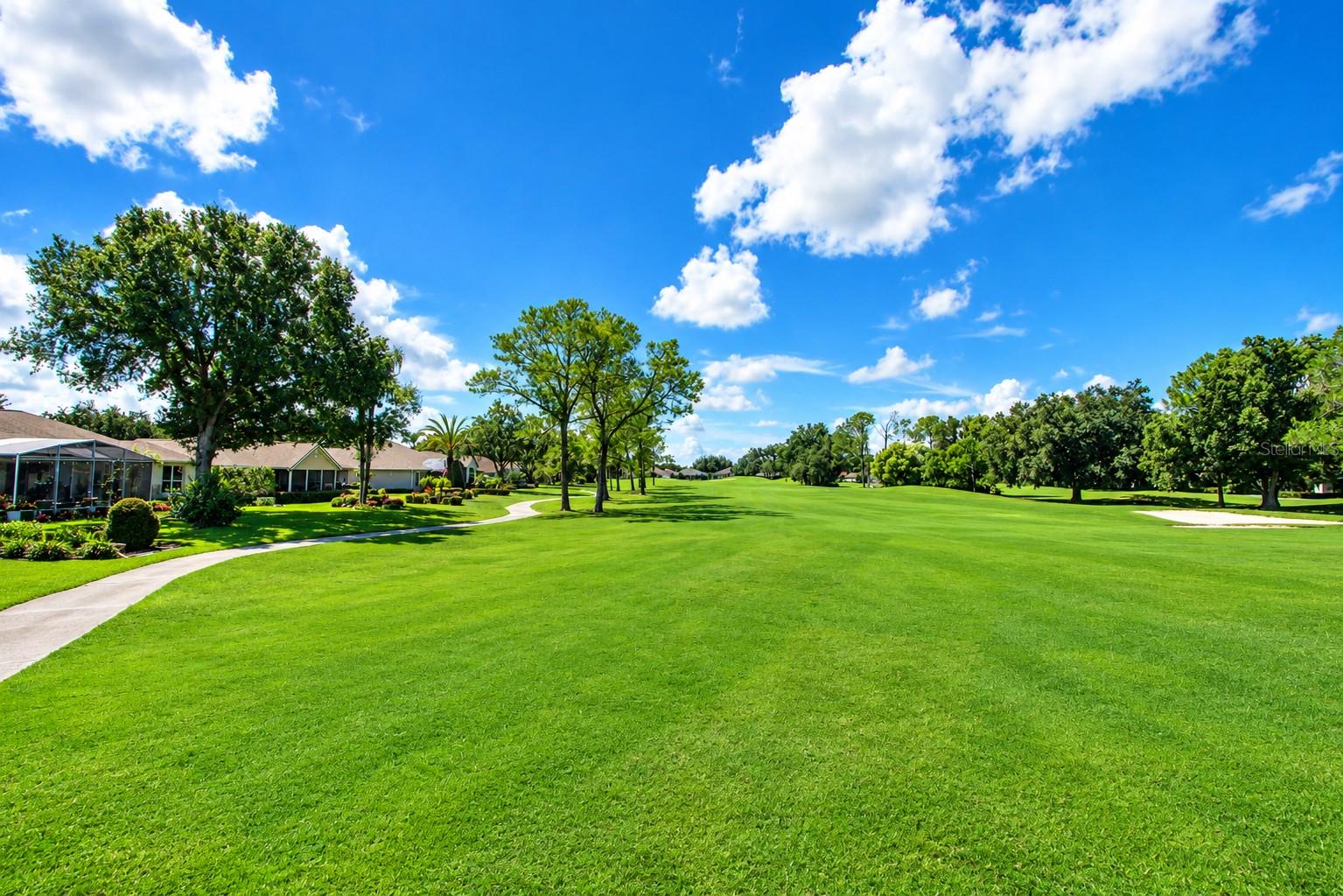 9036 LAUREL RIDGE DRIVE, Mount Dora, FL 32757