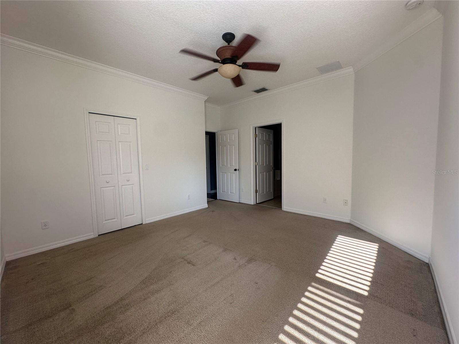 Master Bedroom, view from window