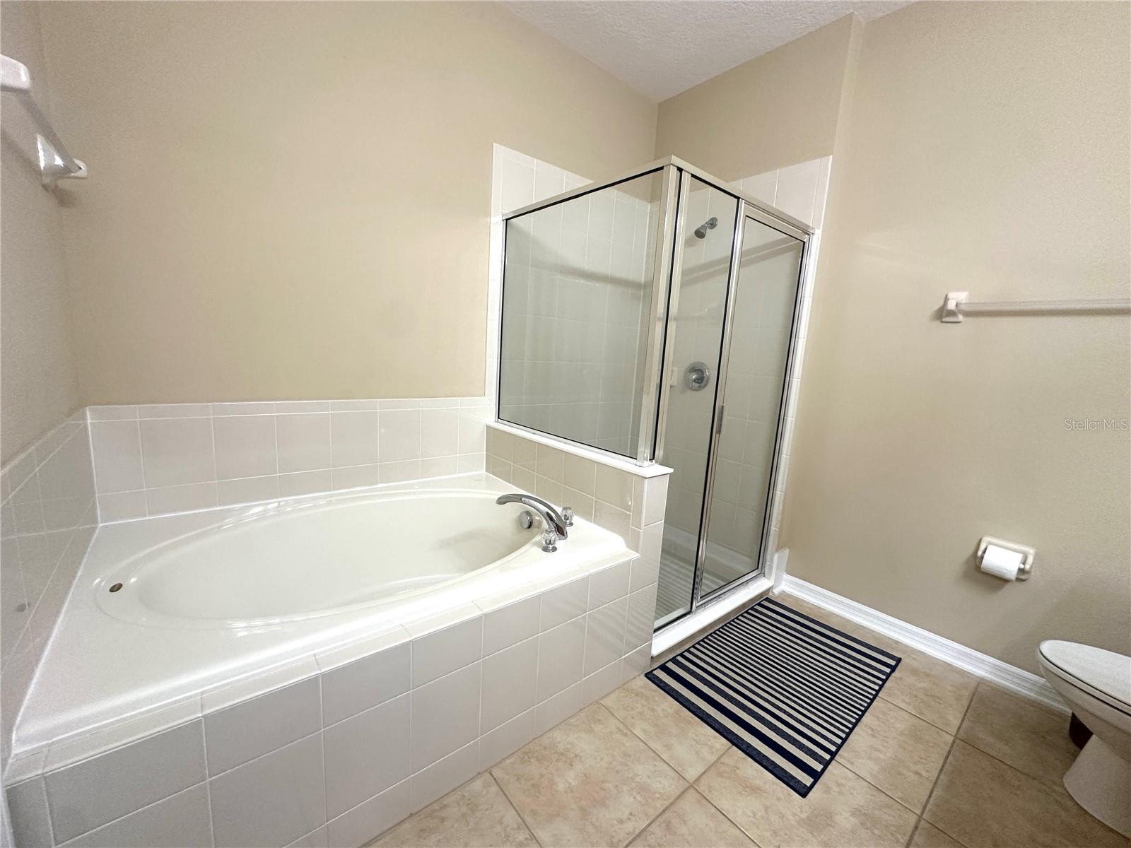 Master Bathroom Tub & Shower