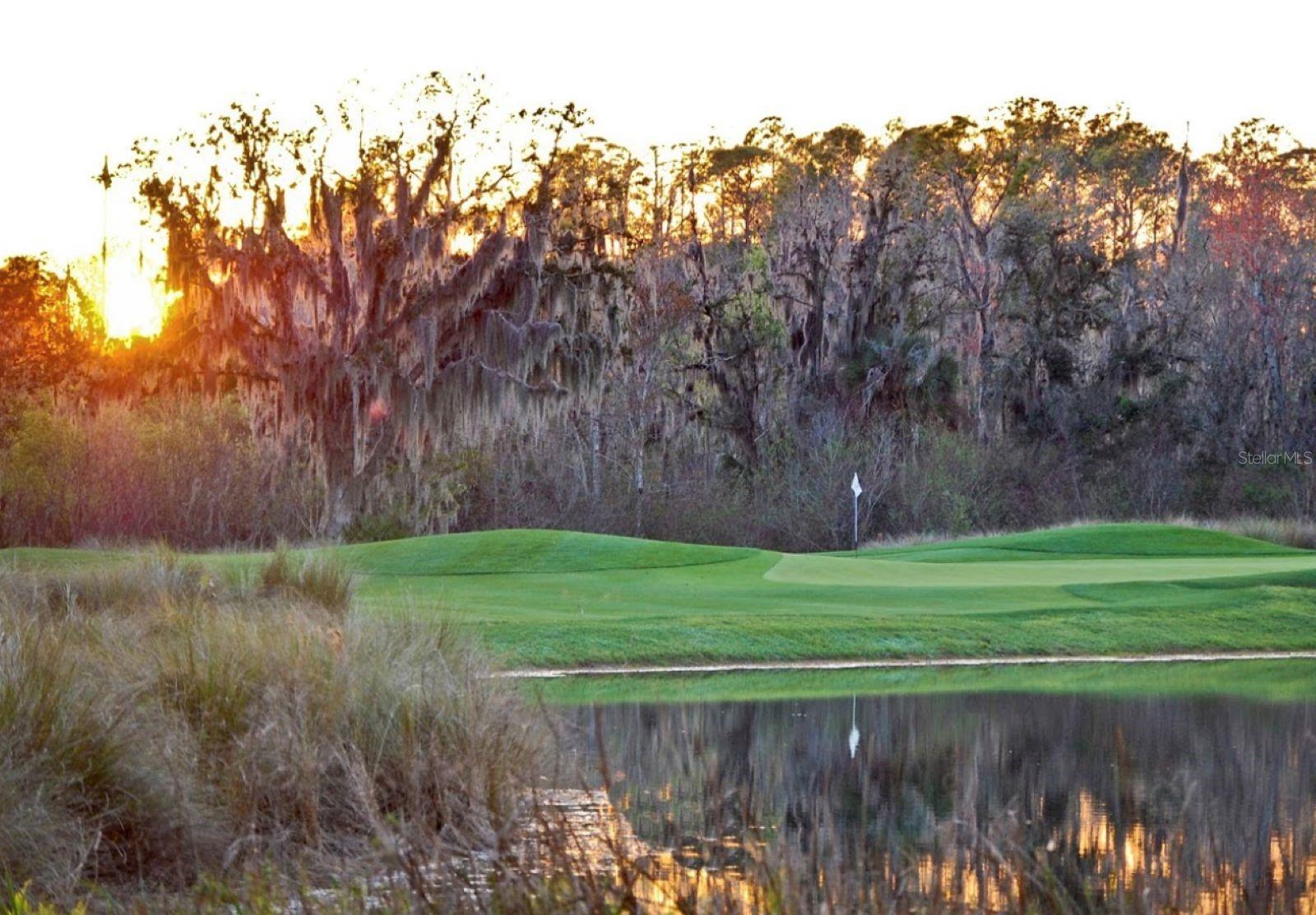 Celebration Golf Course