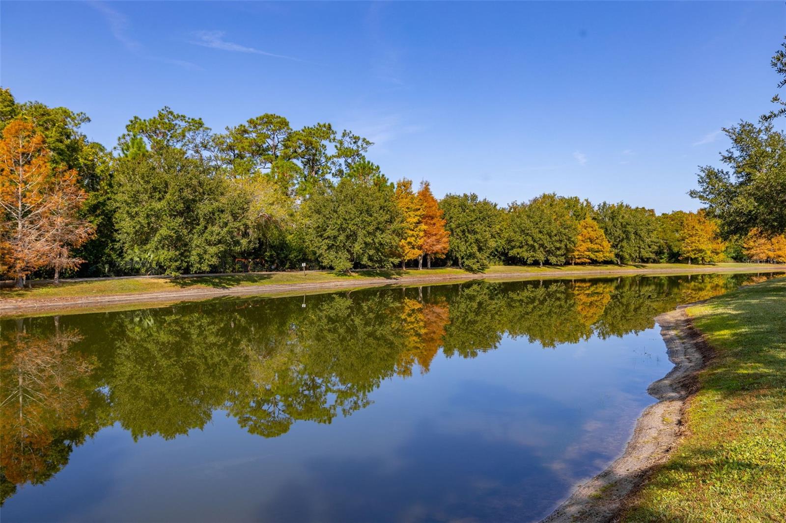 12333 VIA DERNA PLACE, Windermere, FL 34786