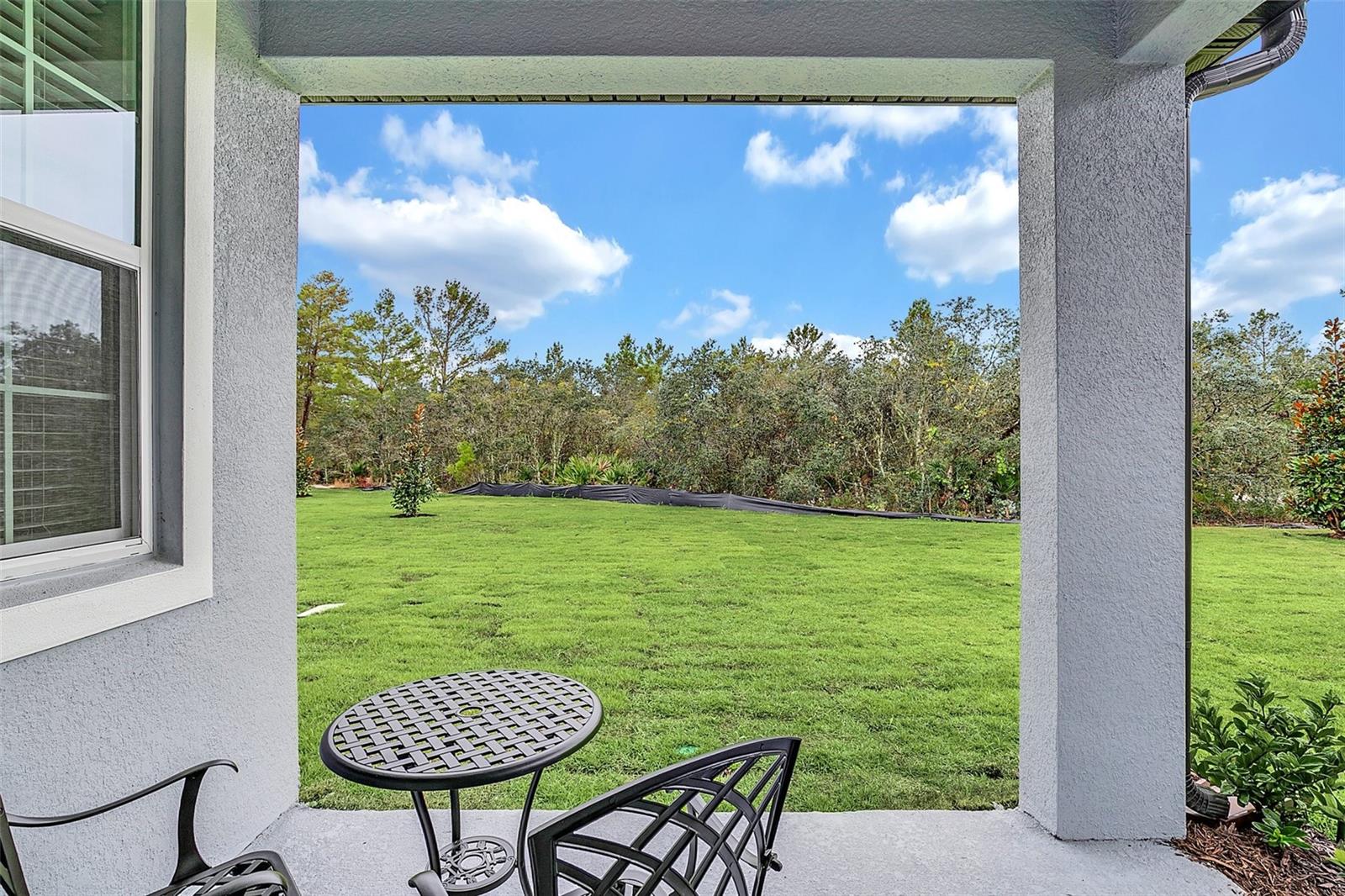 1390 REMICK COURT, Kissimmee, FL 34747