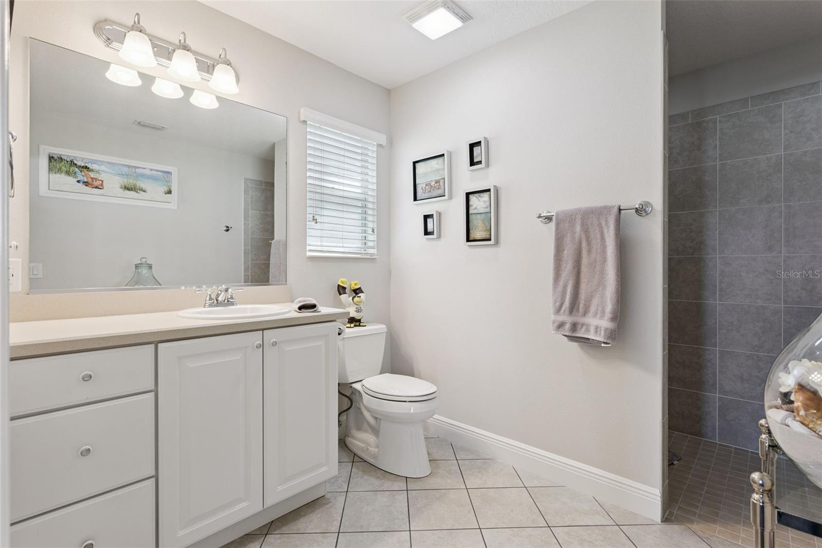 In-law suite/bathroom 3