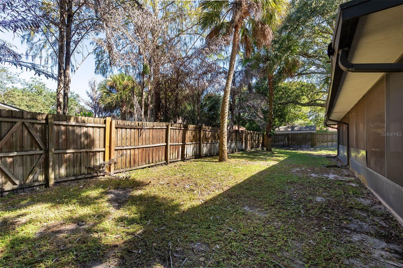 Backyard