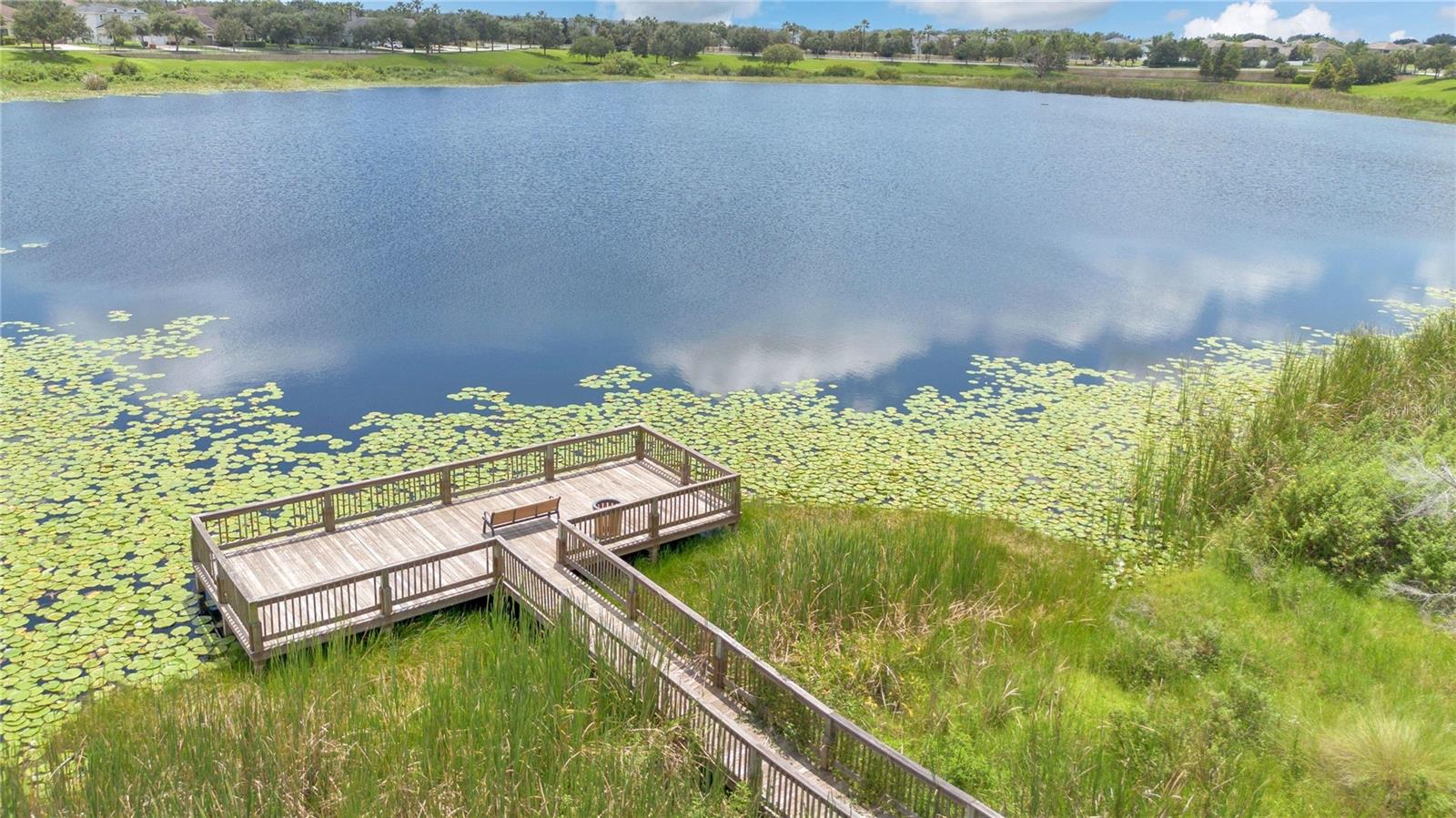 15066 MARBLED GODWIT DRIVE, Winter Garden, FL 34787