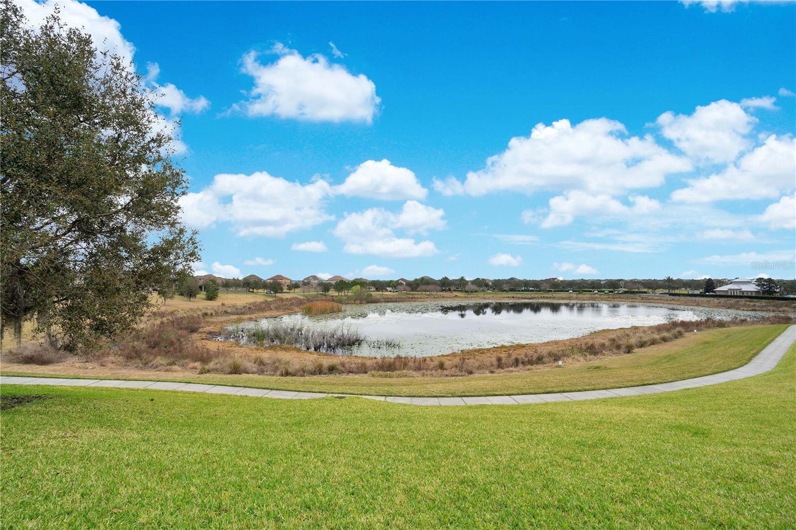 15066 MARBLED GODWIT DRIVE, Winter Garden, FL 34787