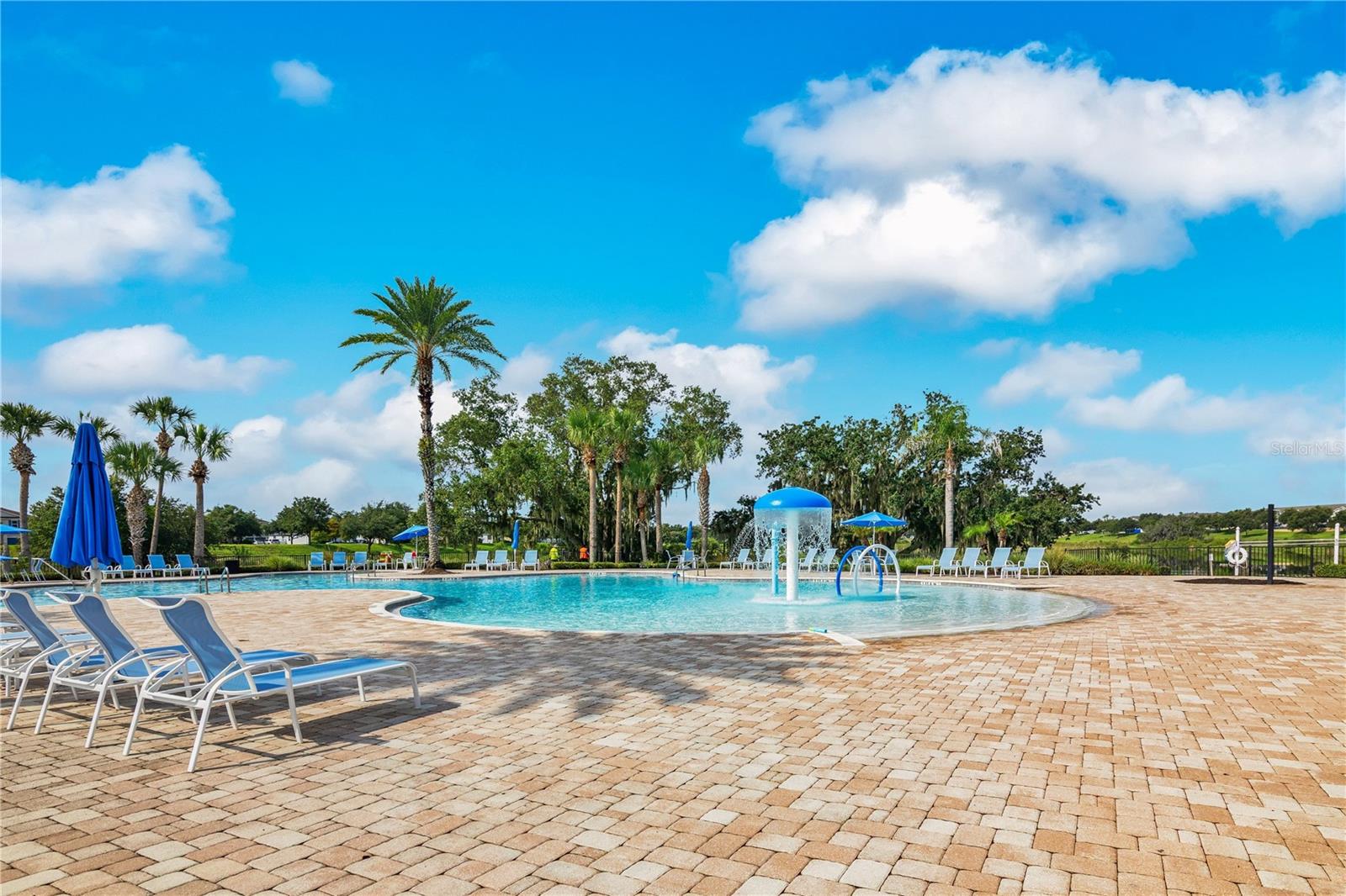 15066 MARBLED GODWIT DRIVE, Winter Garden, FL 34787