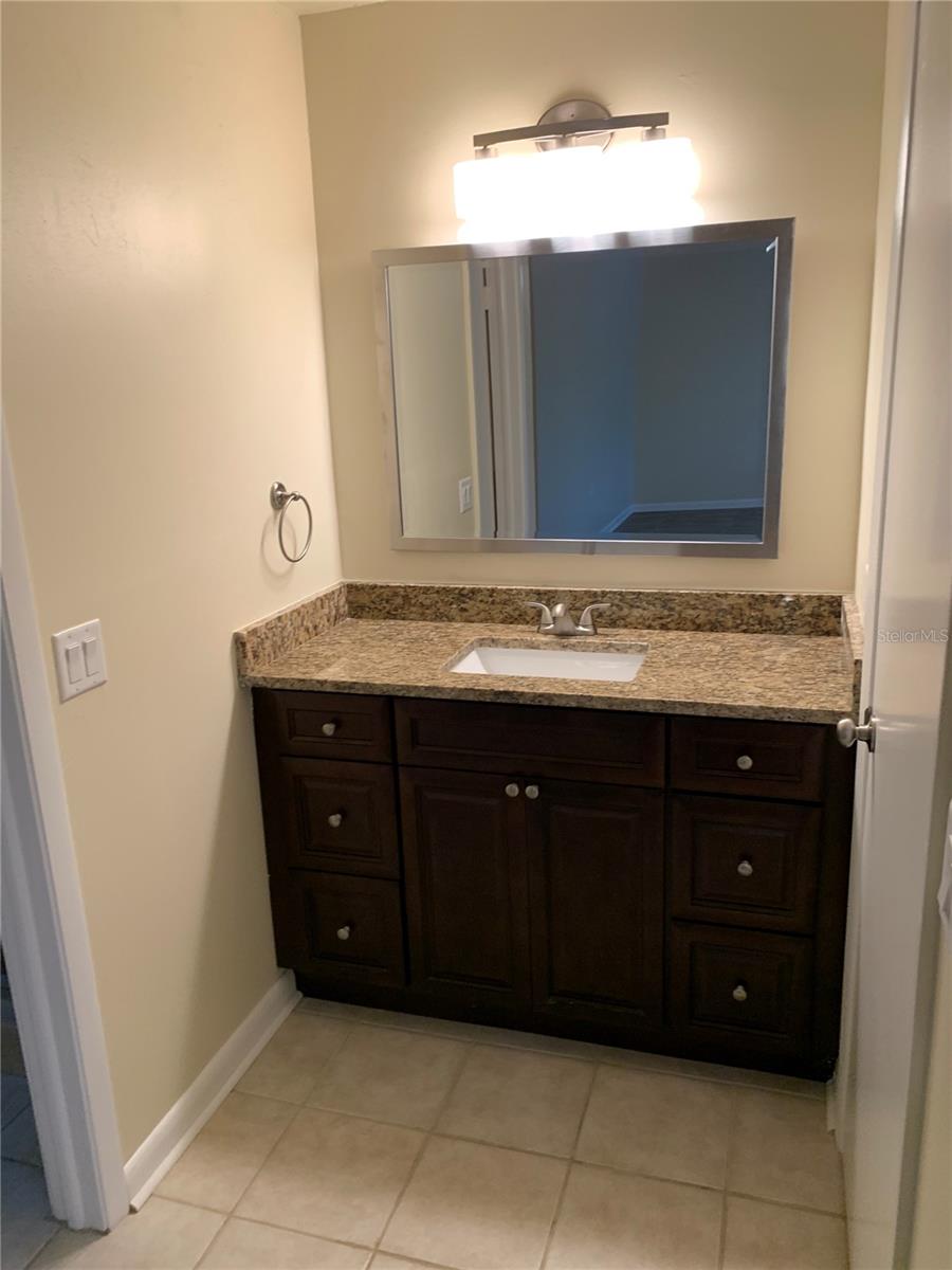Main bath sink