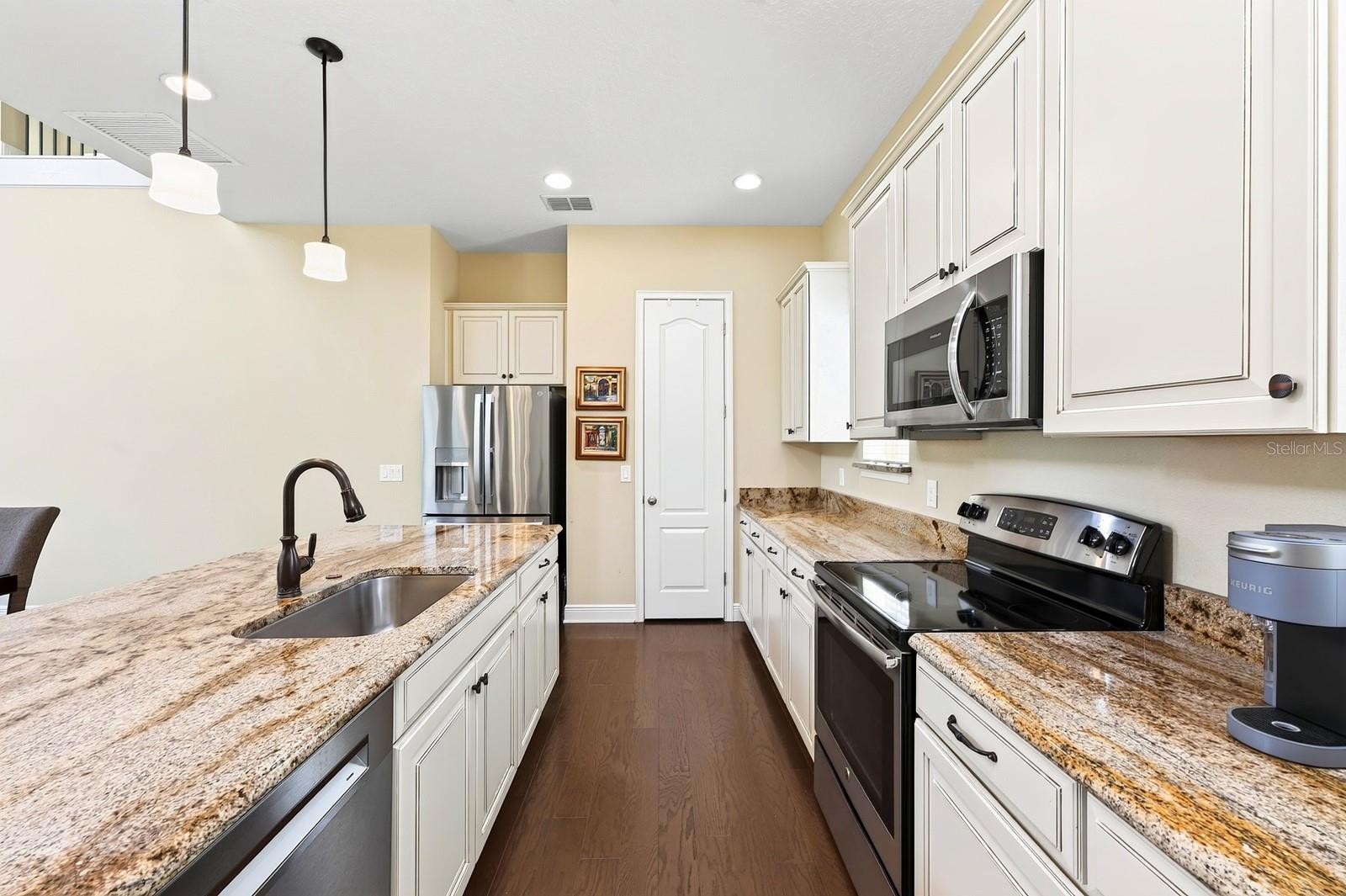 Stainless steel applianes, ample cabinet space, sleek countertops, pantry storage.