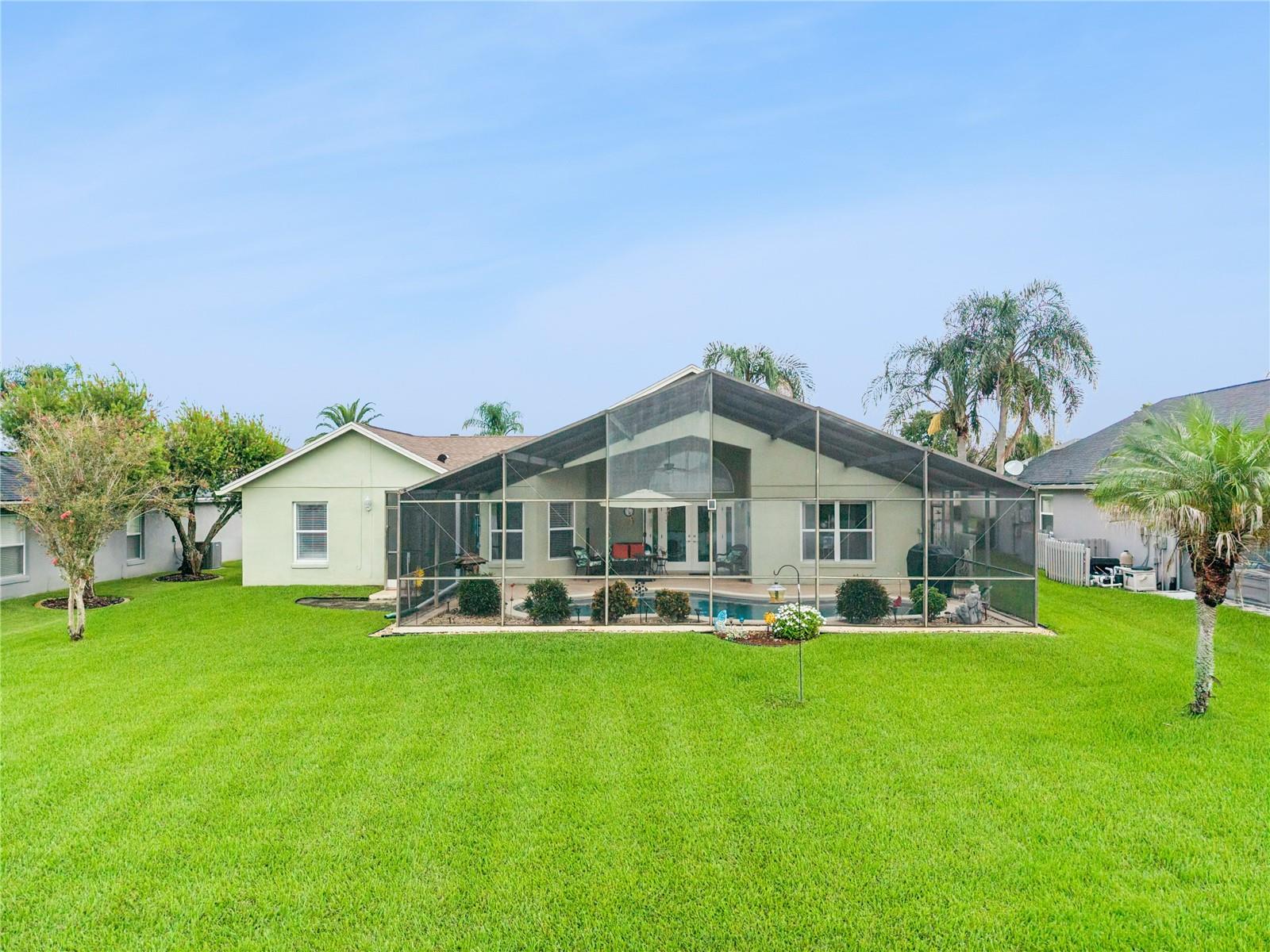 Lush lawn
