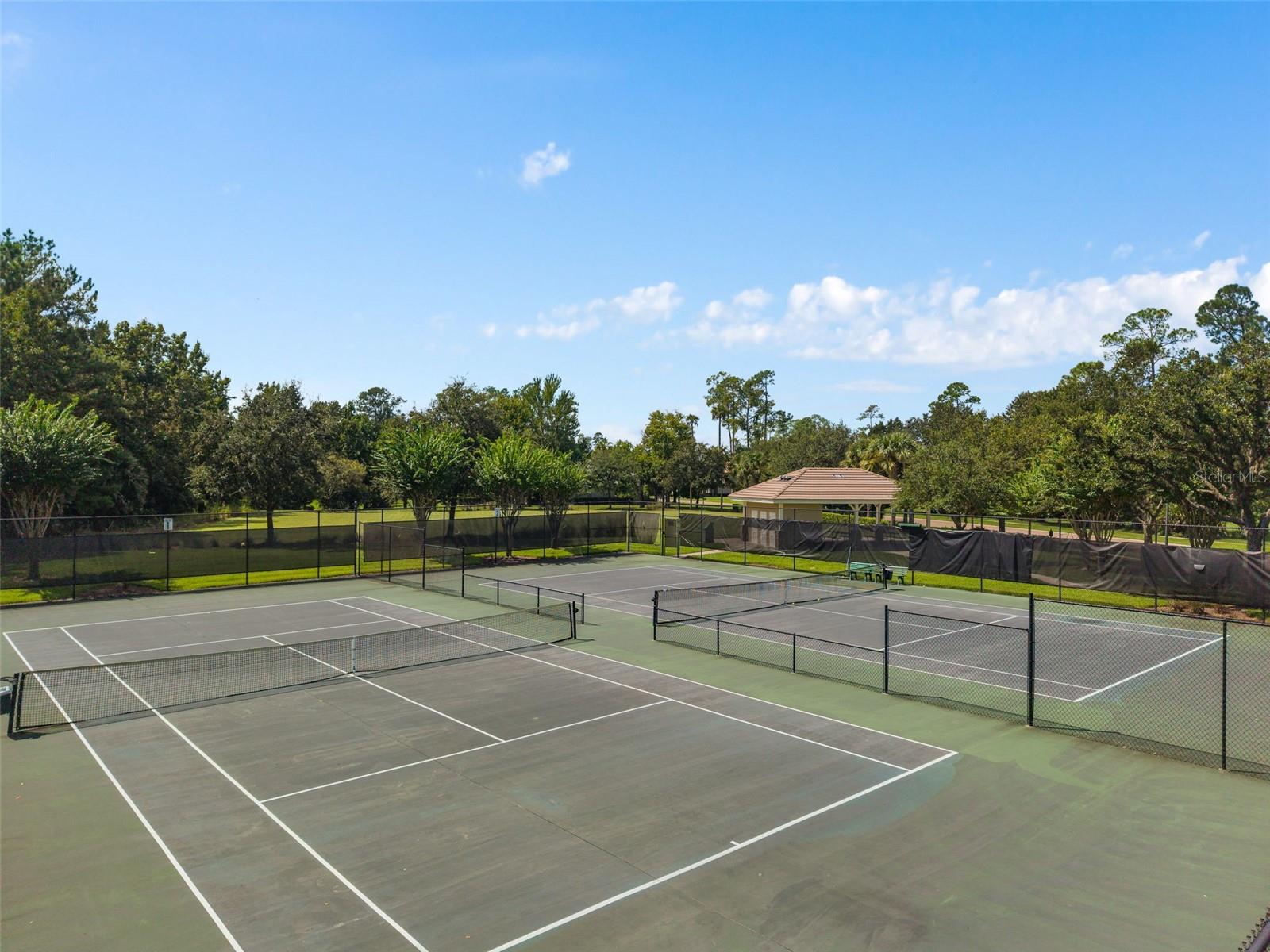 1731 DOGWOOD FOREST WAY, Lake Mary, FL 32746