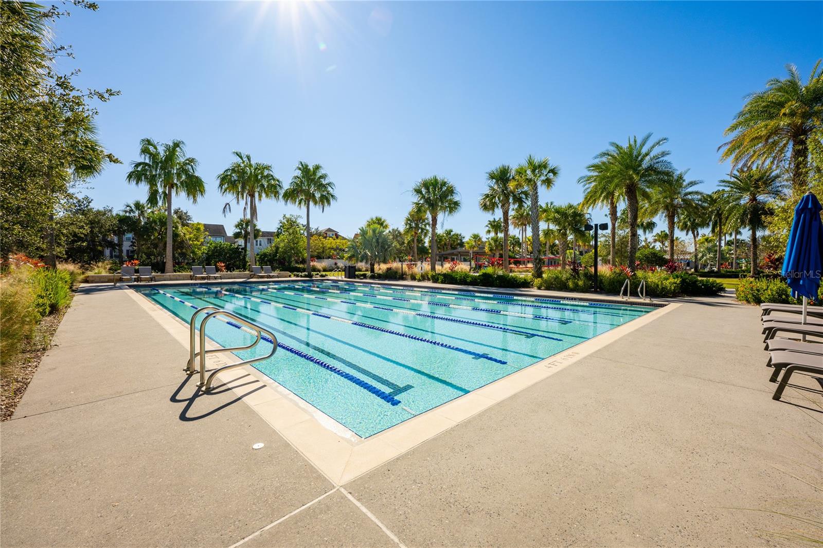 Lap Pool.