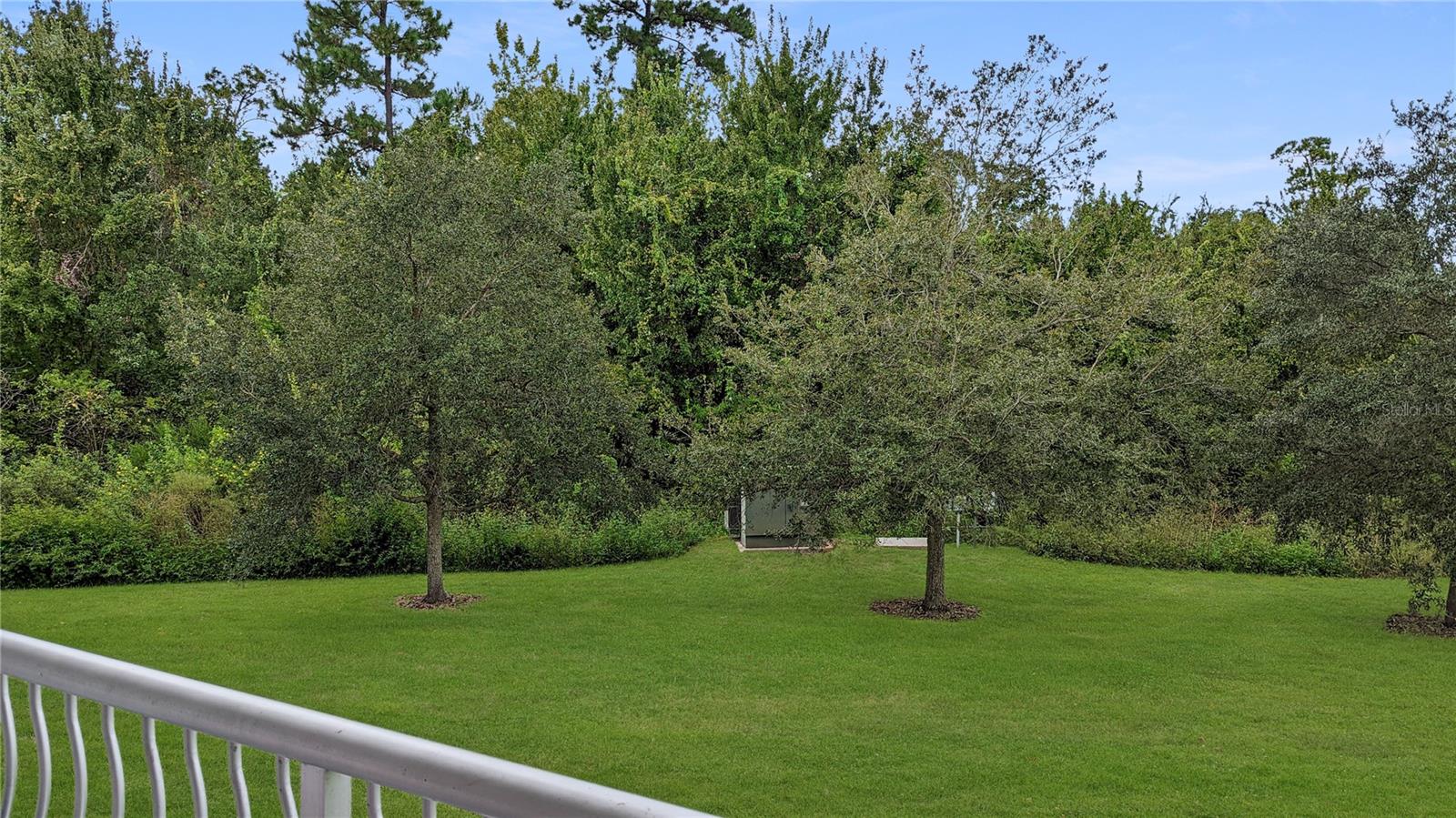 Your Actual Unit's View of Conservation Area from Your Porch! Nice!
