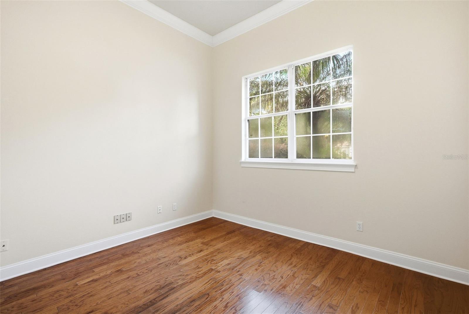 6533 CARTMEL LANE, Windermere, FL 34786