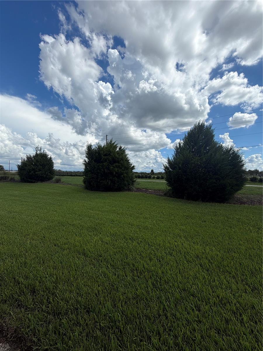 1152 TRAPPERS TRAIL LOOP, Davenport, FL 33896