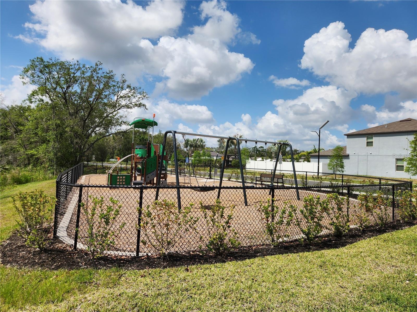 10357 SCARLET SKIMMER DRIVE, Riverview, FL 33578