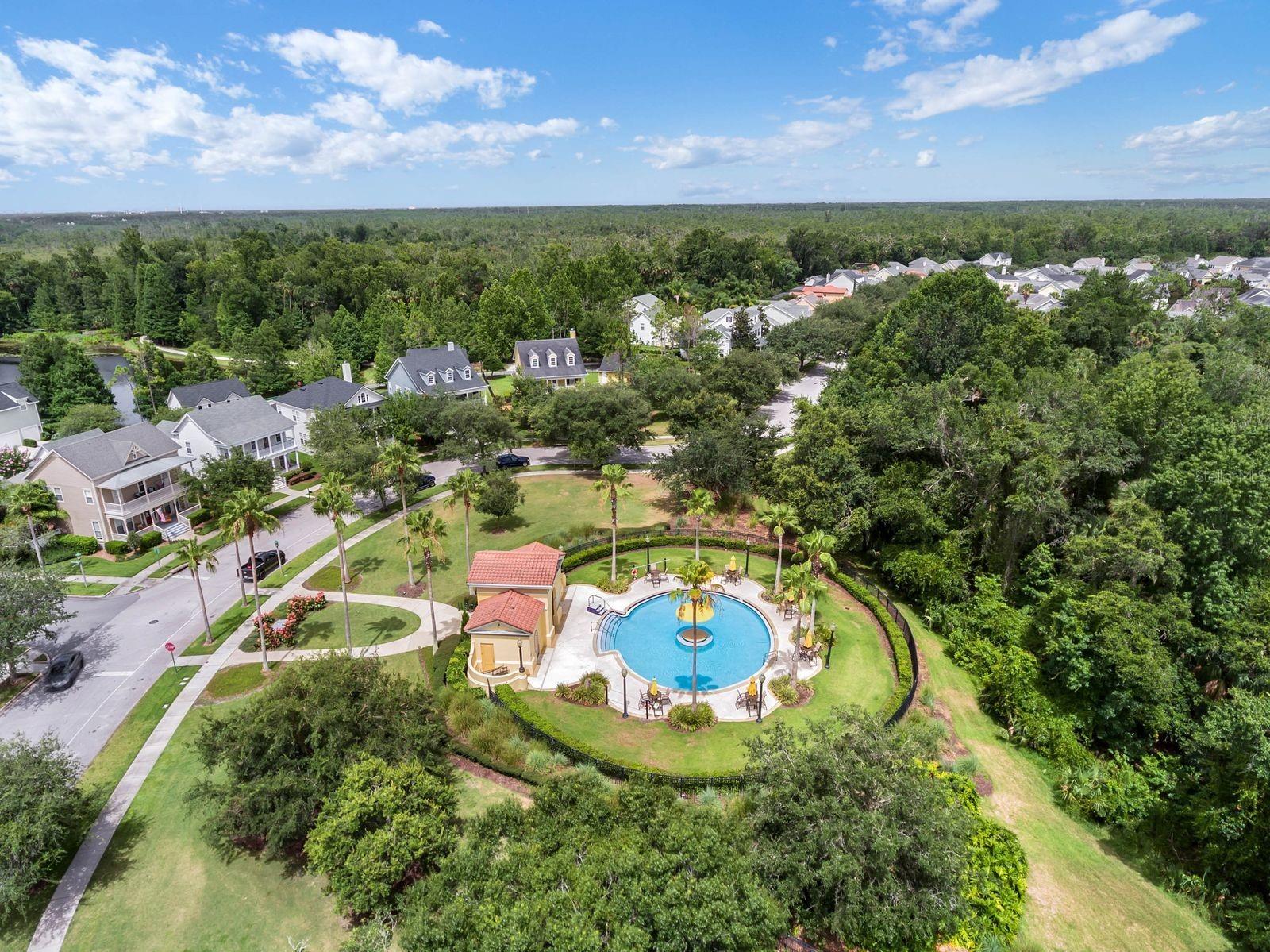 608 NADINA PLACE, Celebration, FL 34747