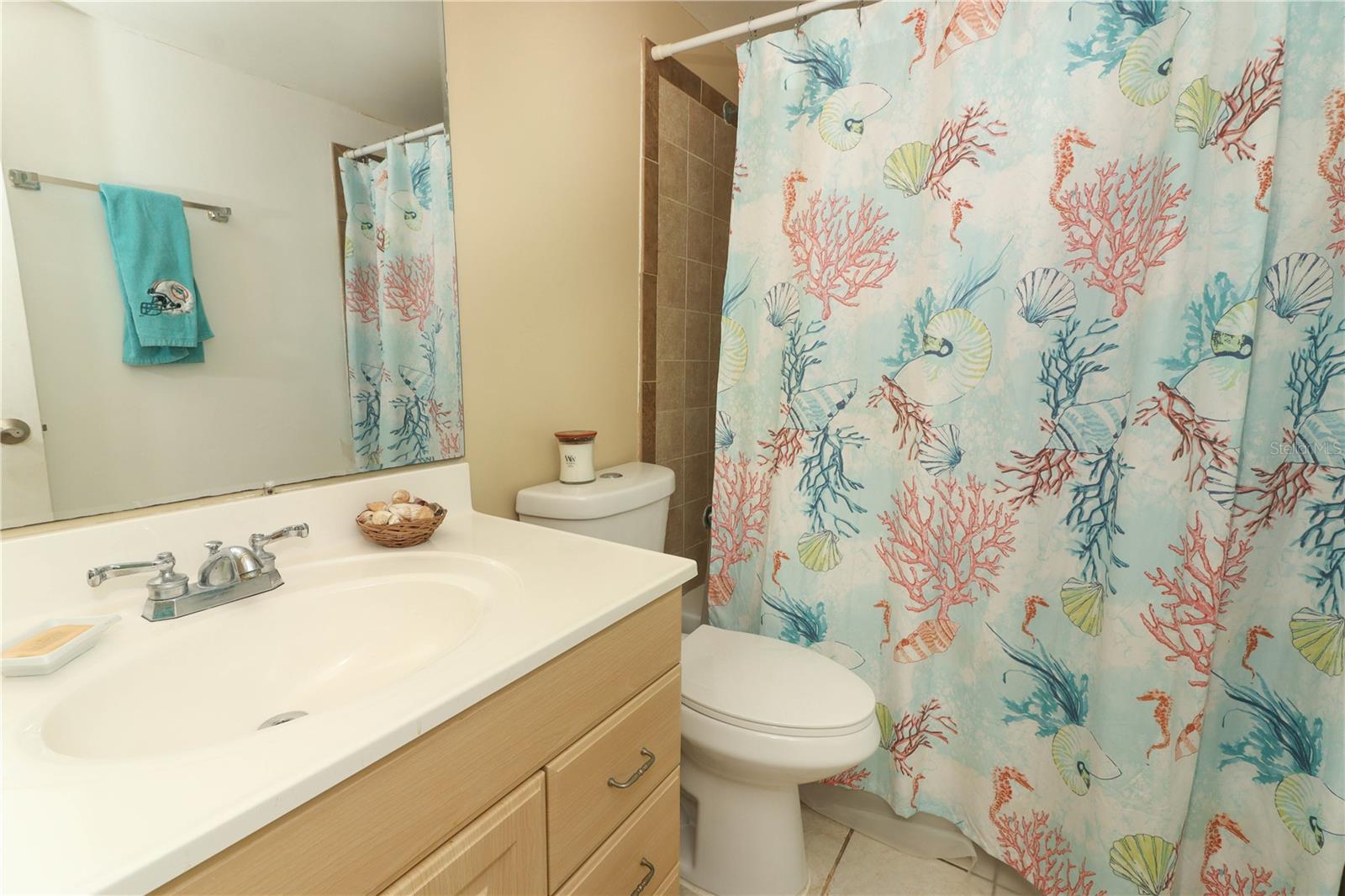 Guest bathroom
