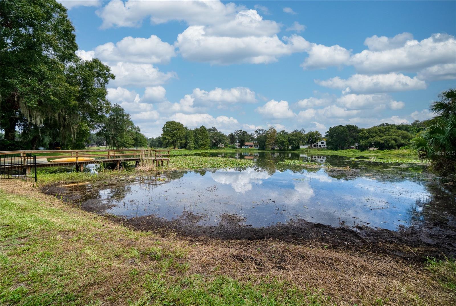 Lake Frontage