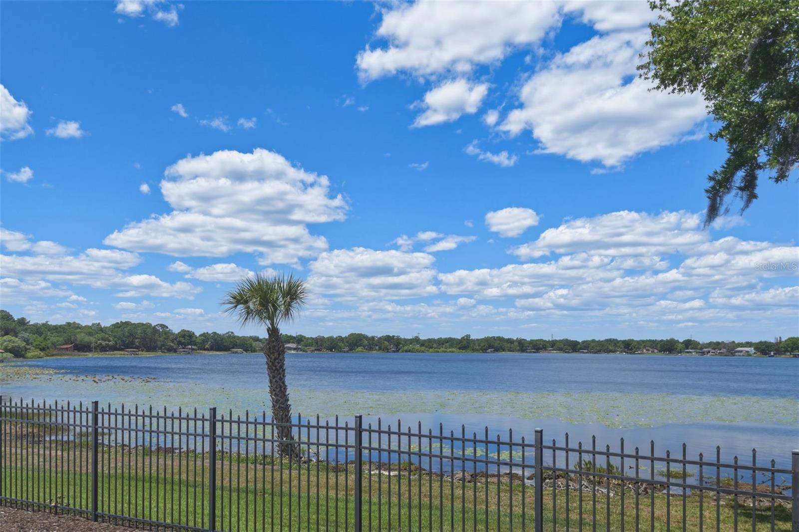 Overlooking Lake Marsha