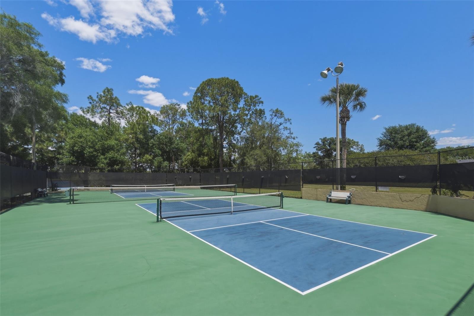 Community Pickle Ball Courts
