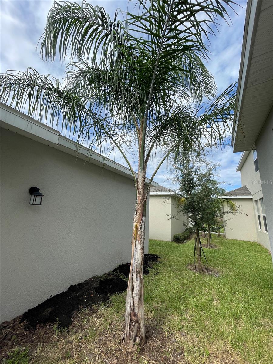 14180 TITLE WAY, Winter Garden, FL 34787