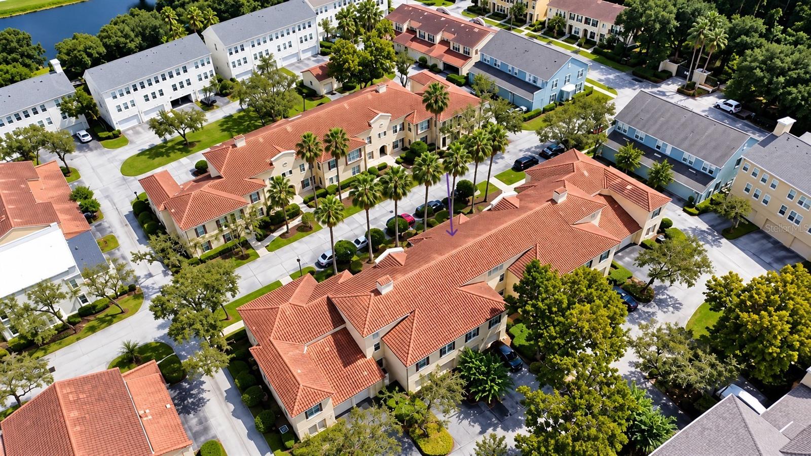 1001 VIA SANTAE LANE, #203, Celebration, FL 34747