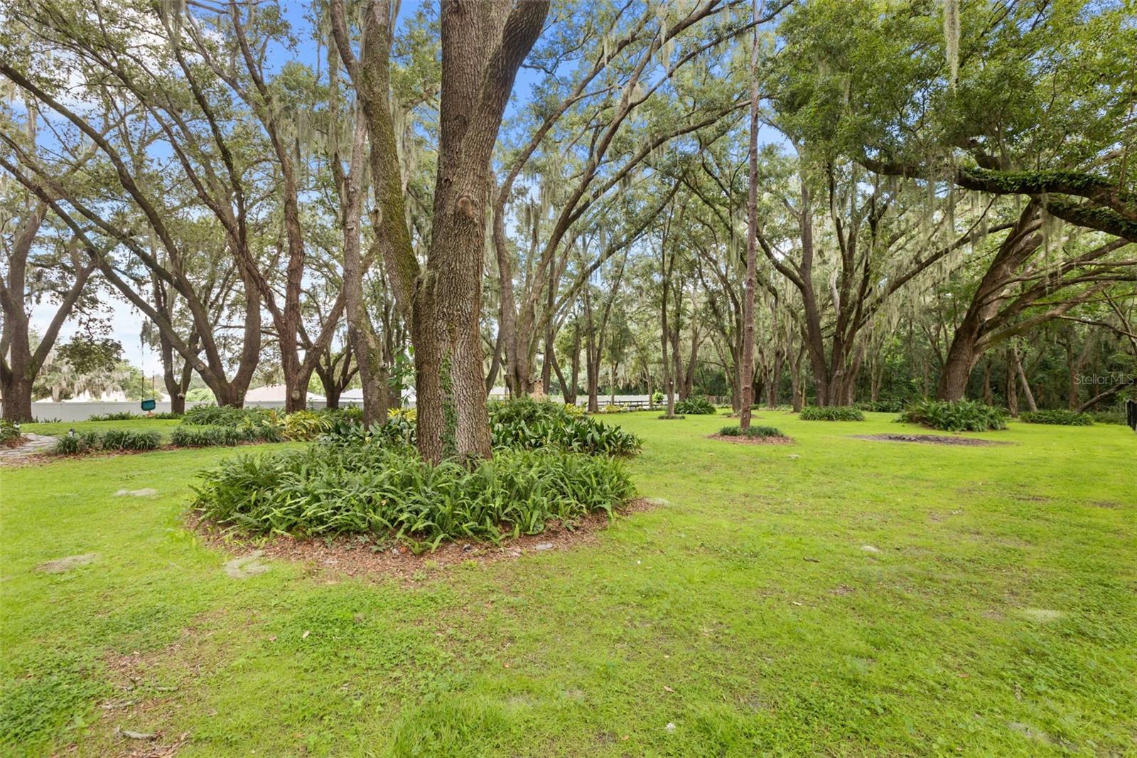 144 TILDENVILLE SCHOOL ROAD, Winter Garden, FL 34787