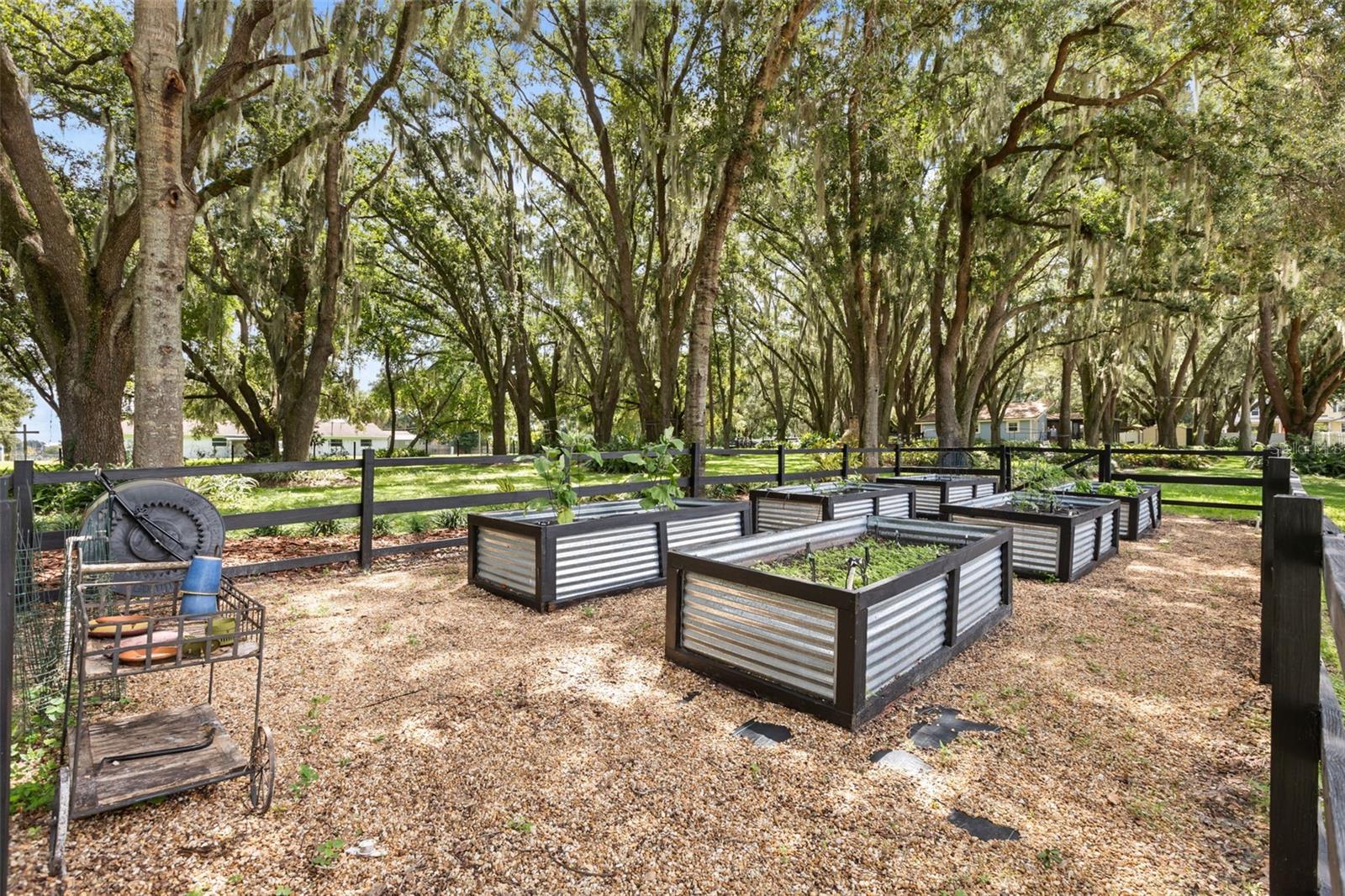 144 TILDENVILLE SCHOOL ROAD, Winter Garden, FL 34787