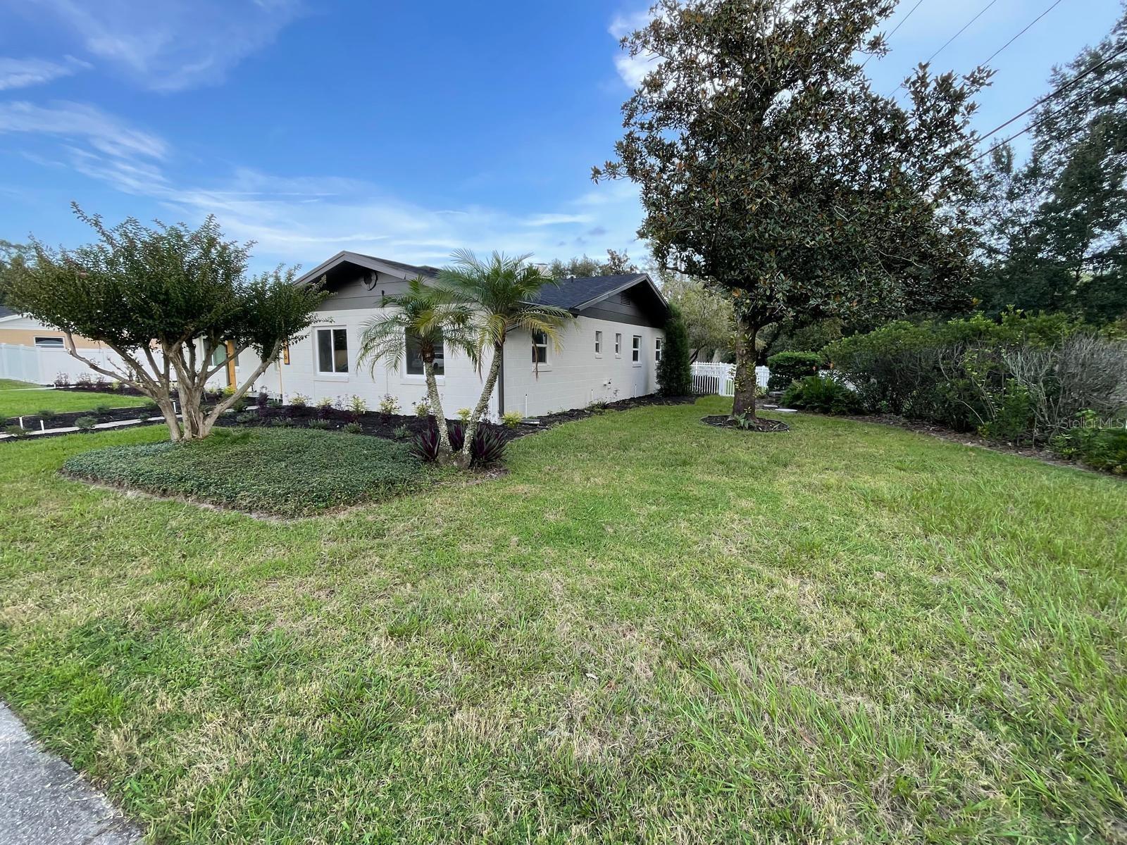 Front Yard/Side