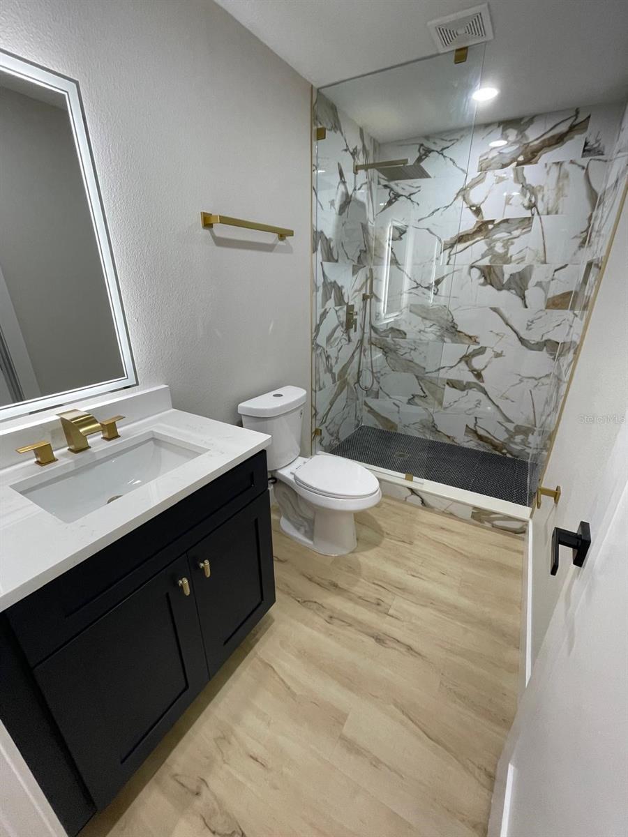 In-Law Suite Bathroom