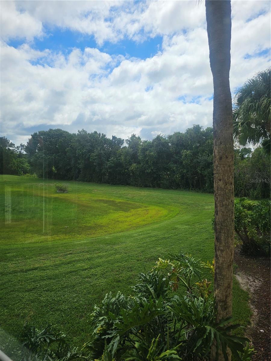 6402 PARC CORNICHE DRIVE, #5204, Orlando, FL 32821