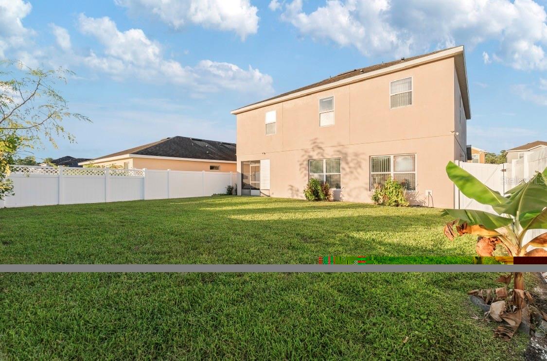 Spacious Backyard