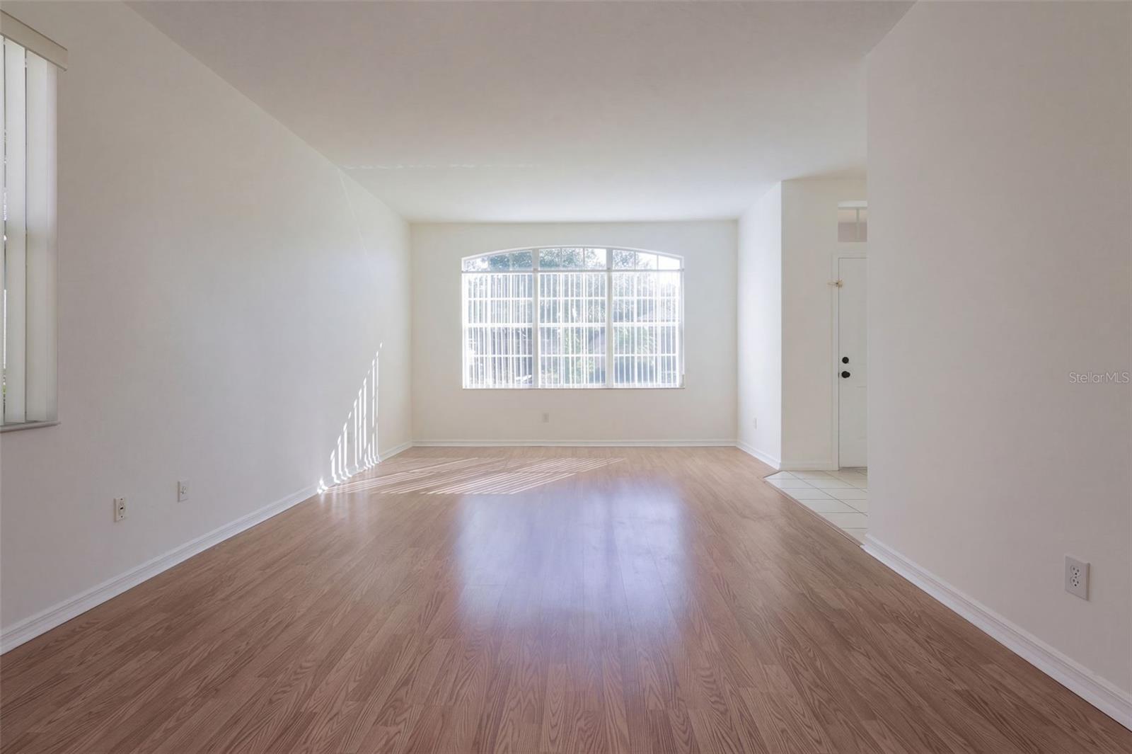 Living room/dining room combo