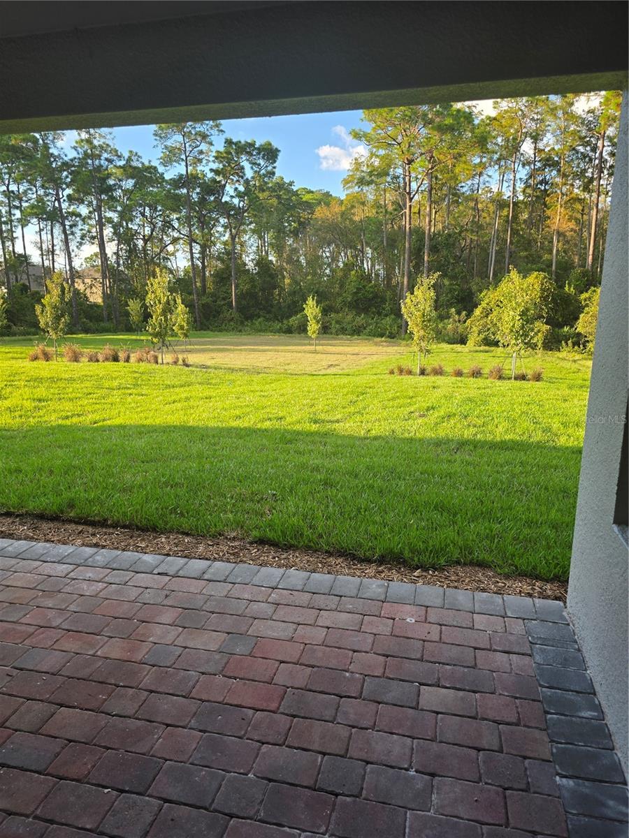 11851 SHINE VIEW LANE, Winter Garden, FL 34787