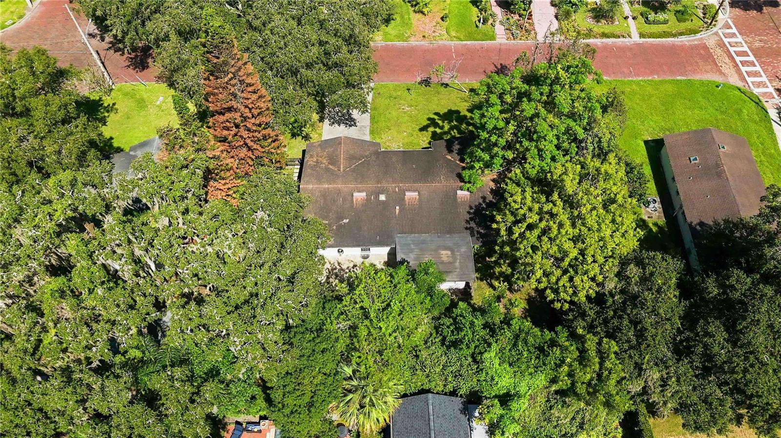 804 GREENWOOD STREET, Orlando, FL 32801