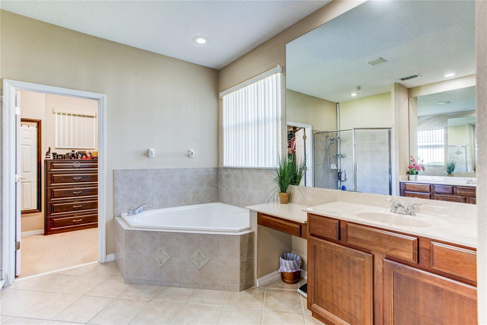 12349 WESTFIELD LAKES CIRCLE, Winter Garden, FL 34787