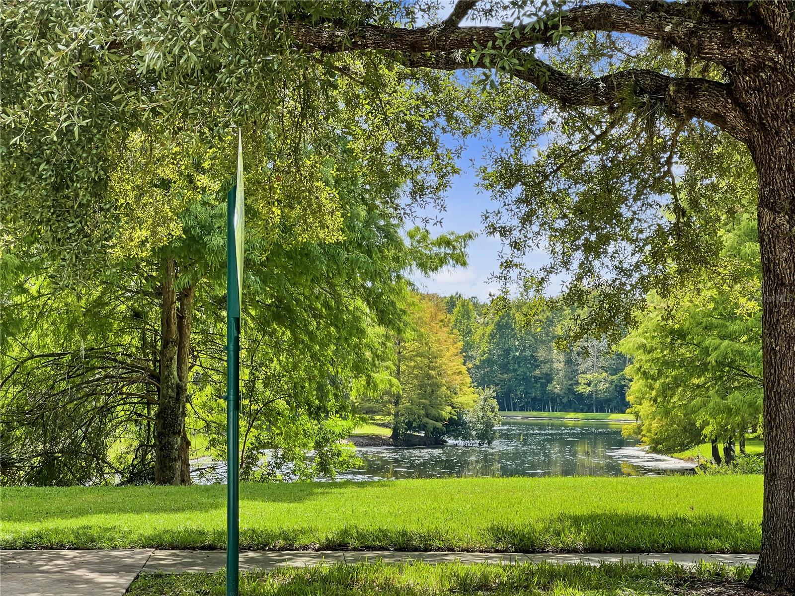 1401 CELEBRATION AVENUE, #401, Celebration, FL 34747