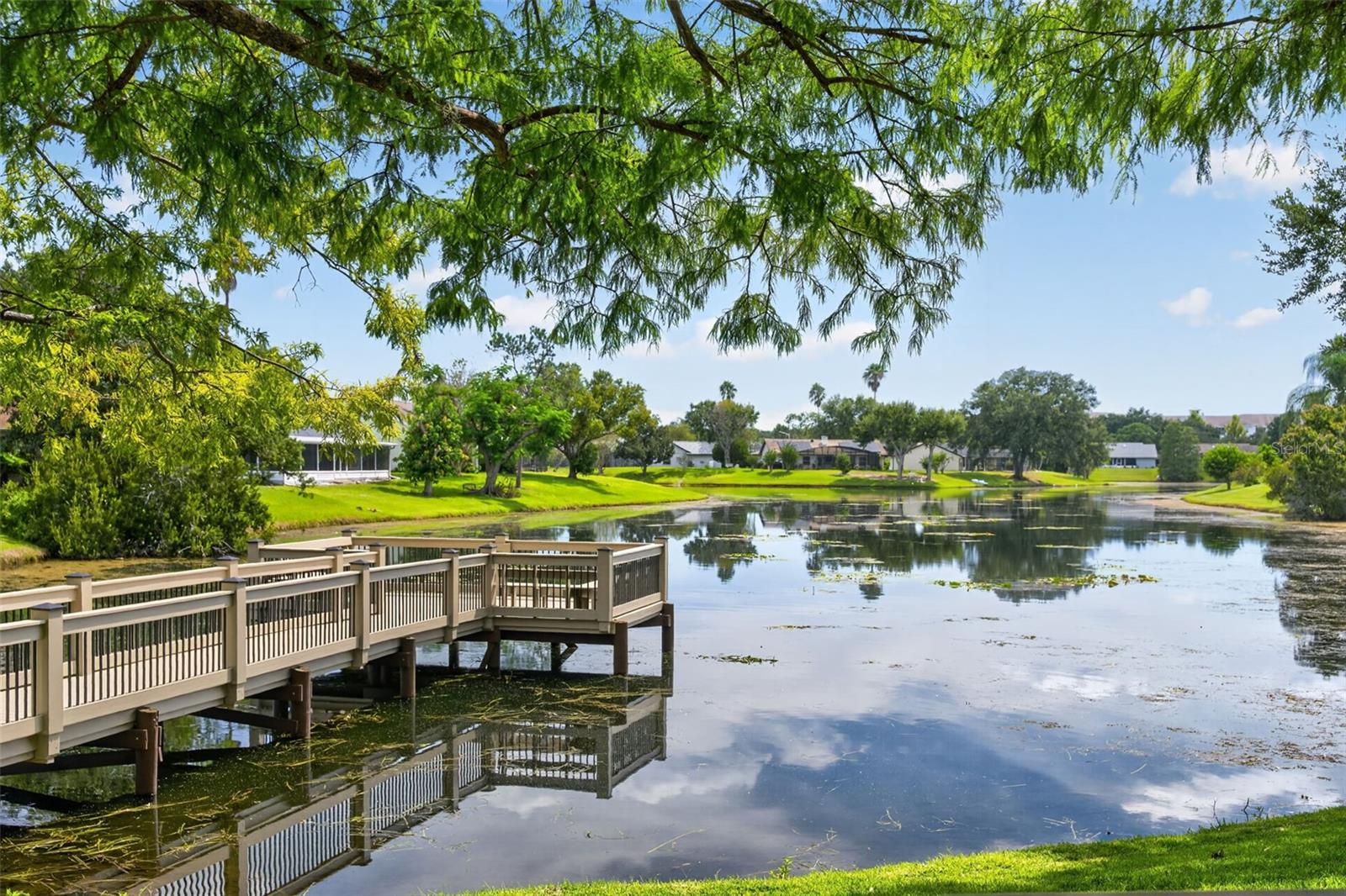 The lake dock of Eagle Park
