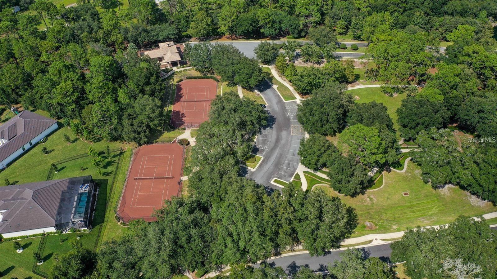 31722 RED TAIL BOULEVARD, Sorrento, FL 32776