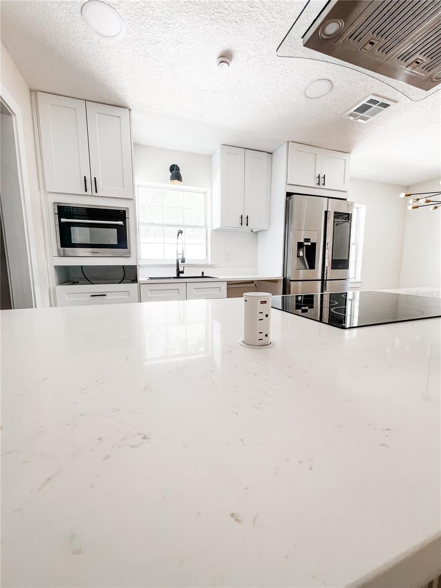 1314 ROBIE AVENUE, Mount Dora, FL 32757