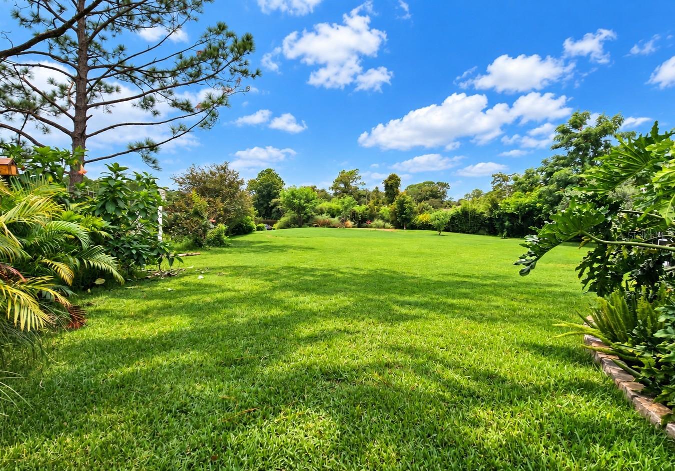 Large 0.71 Acre Yard