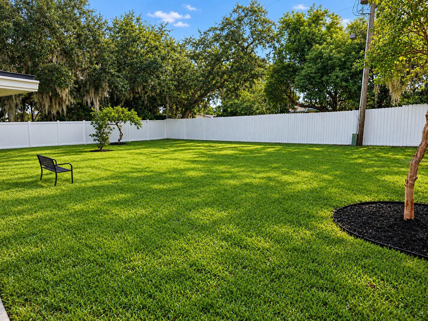 Huge yard